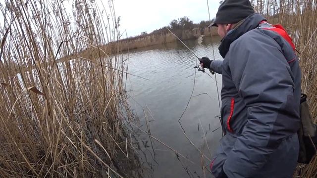 Окунь и Щука на Спиннинг Зимой на Деревенском Пруду