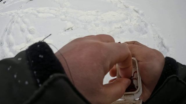 река чулым рыбачим по середине реки . поклёвки подлещиков под кг.
