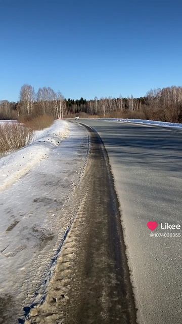 Леса! Дороги!
