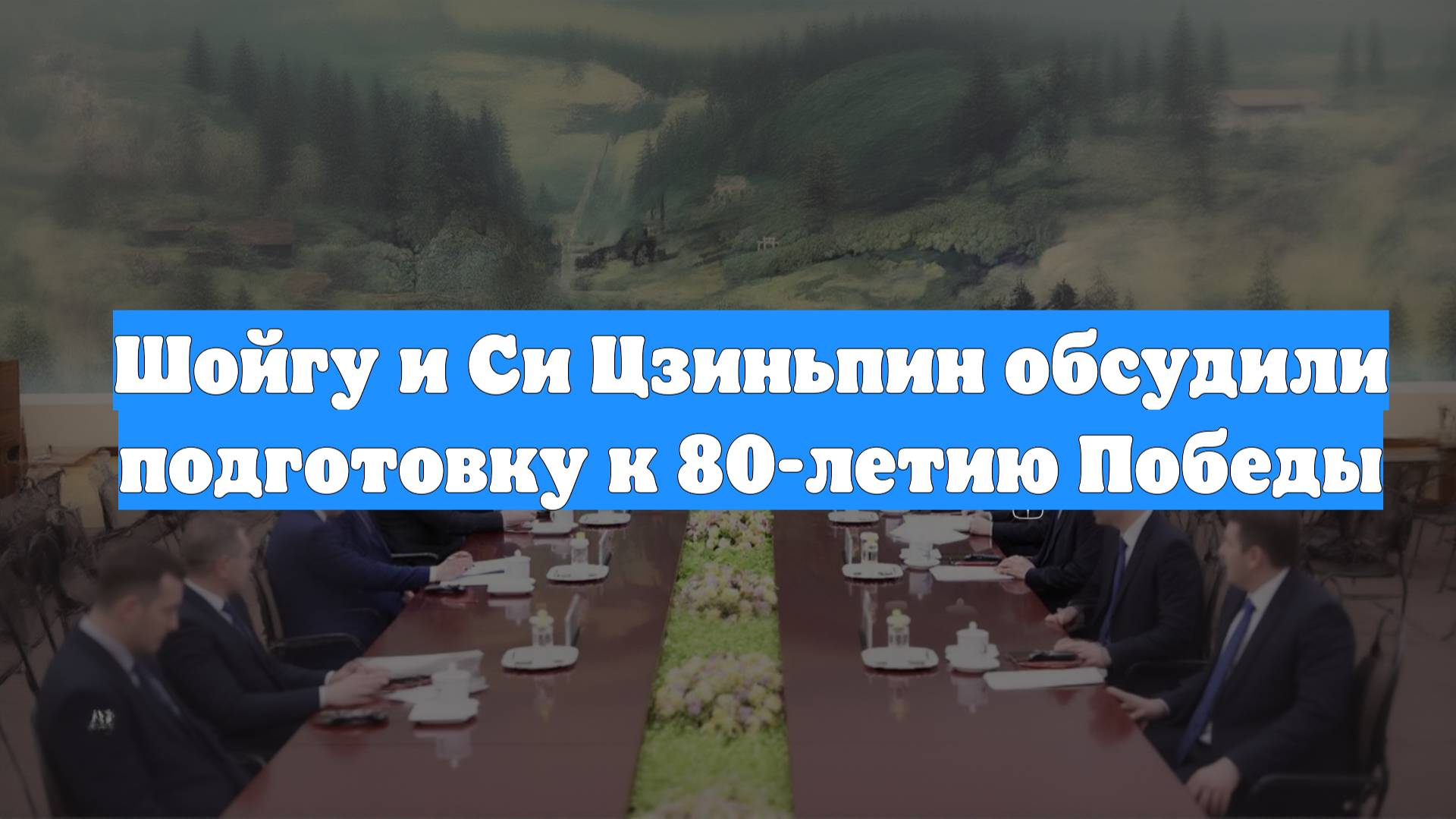 Шойгу и Си Цзиньпин обсудили подготовку к 80-летию Победы