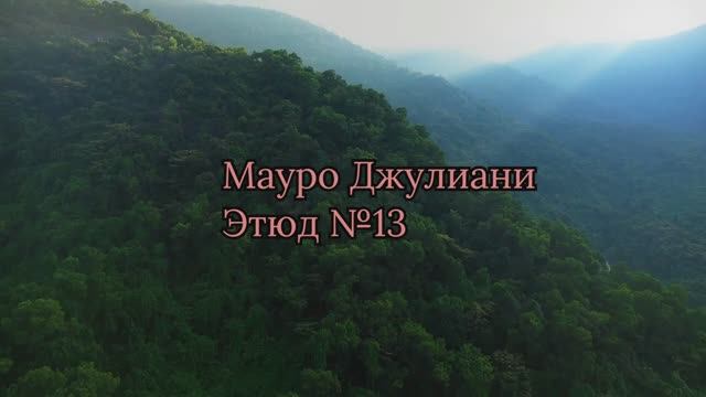 Мауро Джулиани. Этюд №13
