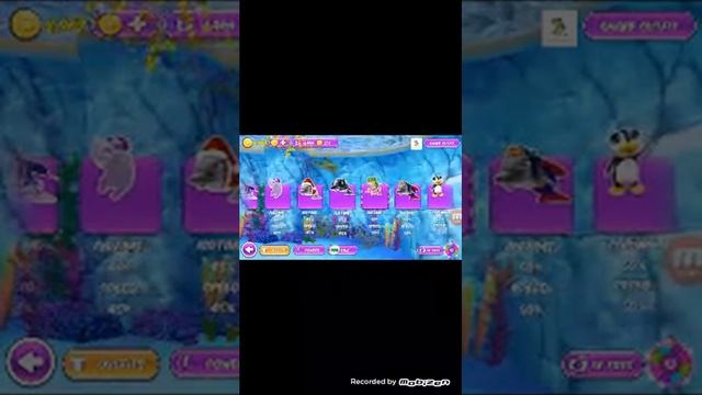 Cum sa faci. Hack. La Dolphin show