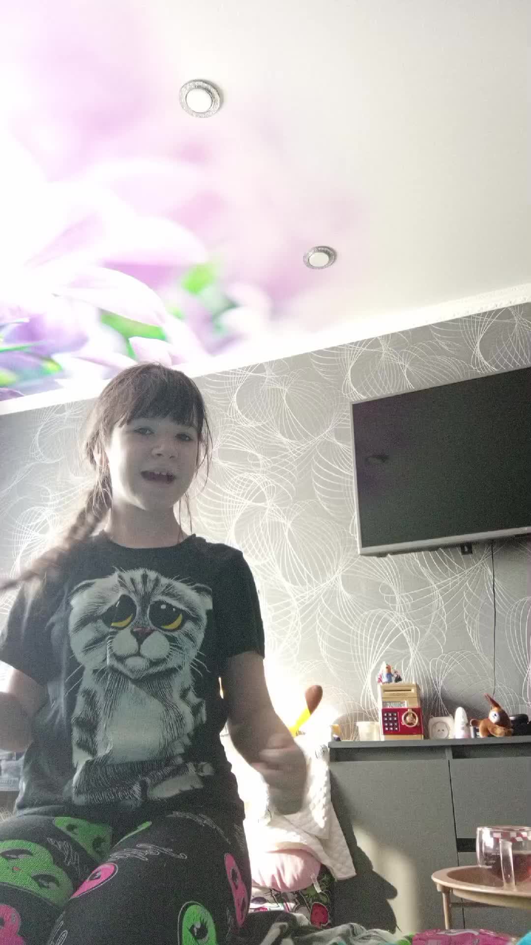 дресируем кошку
