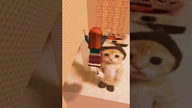 паркур с котиками 🎀💗