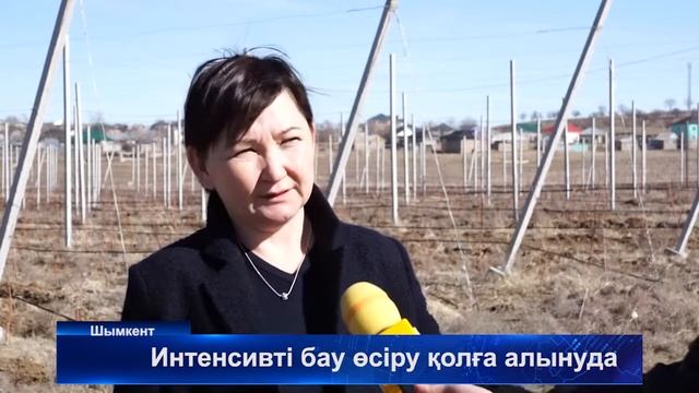 20 02 18  ИНТЕНСИВТЫ БАУ ОСИРУ КОЛГА АЛЫНУДА