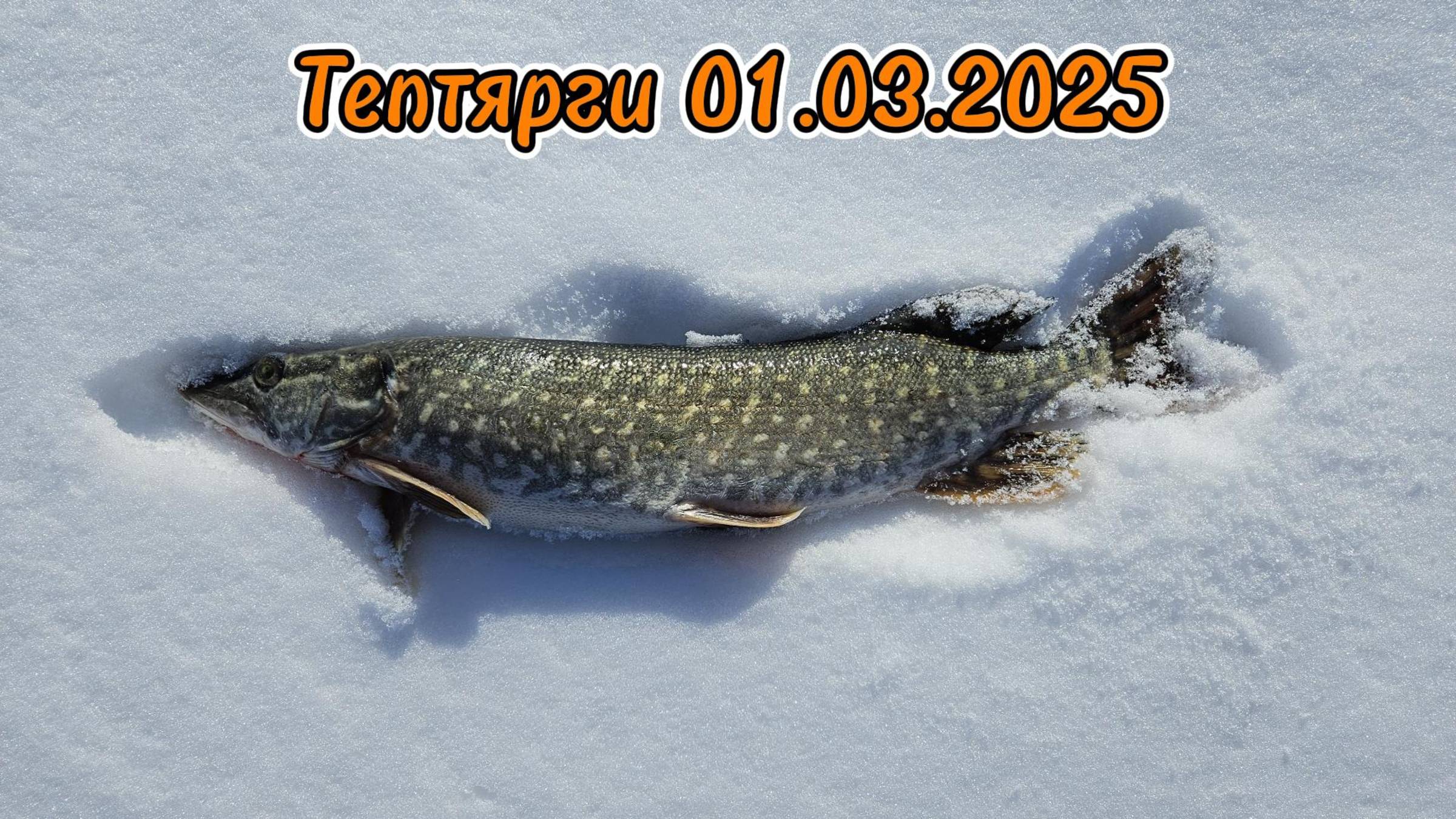 Тептярги Рыбалка в Челябинской области Щука на жерлицы