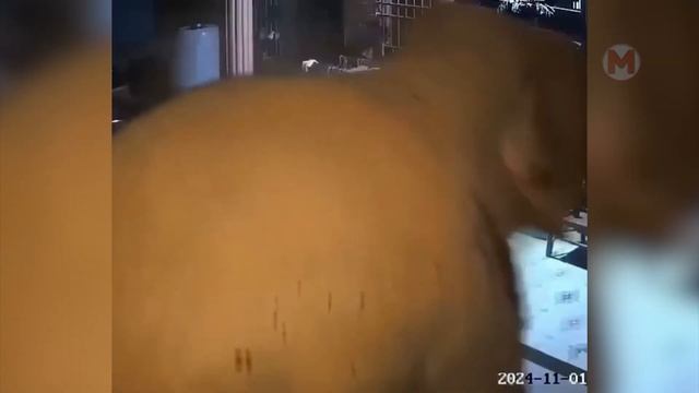 Зачем Она Сделала Это_ Случаи Снятые на Камеру Видеонаблюдения!