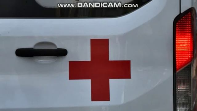 Мальчик, которого покусали хаски в Сочи, отправится на лечение в Москву