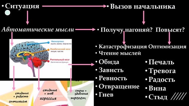 лекция 10.2 Мои мысли - мои скакуны♀️ и как их остановить️♀️