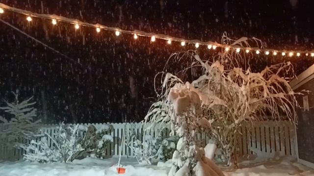 Зима Краснодарского края Апшеронский р-н. Февраль 2025 🩵❄️🩵