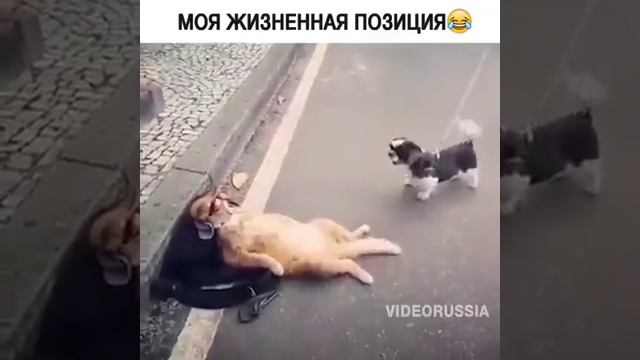 А мне всё пофиг