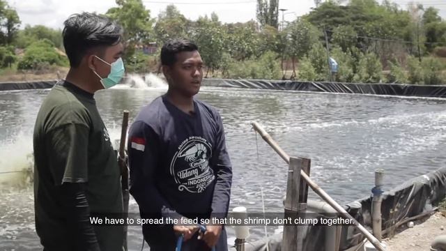 Video Edukasi Mata Kuliah Manajemen Kualitas Air