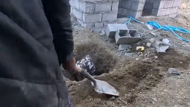 29.11.2023 Сила материнской любви воспитание и защита своих детей в сложных условиях