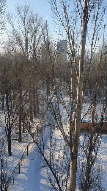 ПОГОДА В ТОЛЬЯТТИ