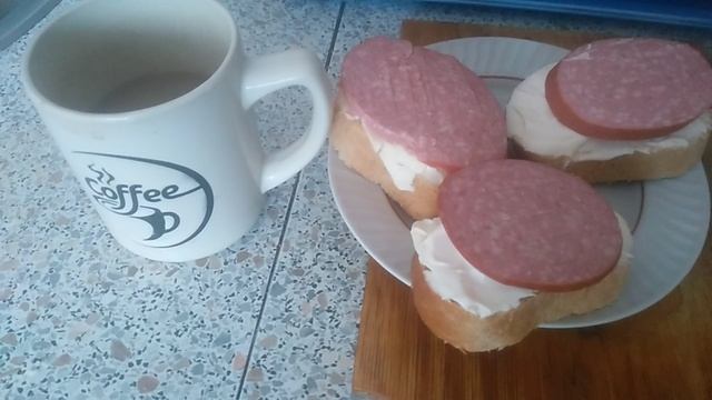 VID_20250301_082403