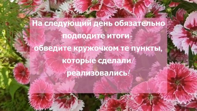 Волшебные фразы в новый год! Пишите их каждый день в ежедневник