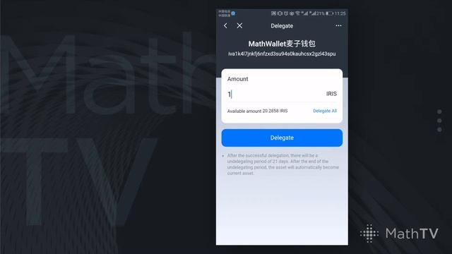 MathTV-02 How to use IRIS Staking Tool？