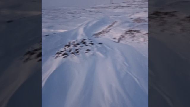 26 ФЕВРАля 2025г..mp4