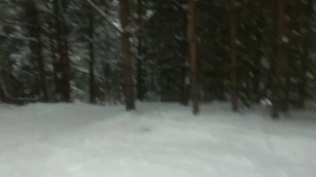Stek Snowboard - КоняевоPark..