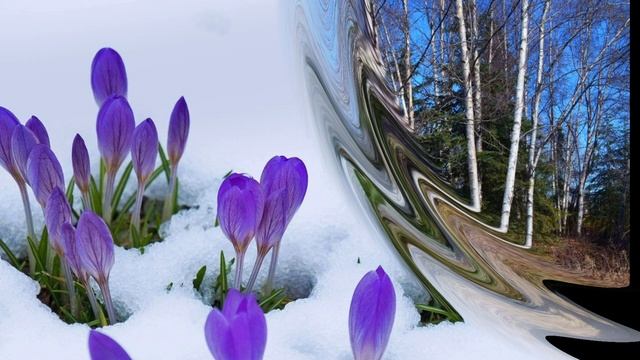 Женский лень не за горами (Мама, бабушка, сестра) авторская песня от  дяди Лёши