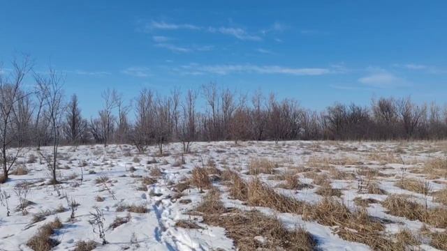 Спокойный отдых на прероде