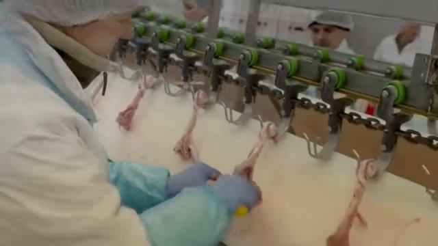 Работа в Польше на мясном и рыбном заводах