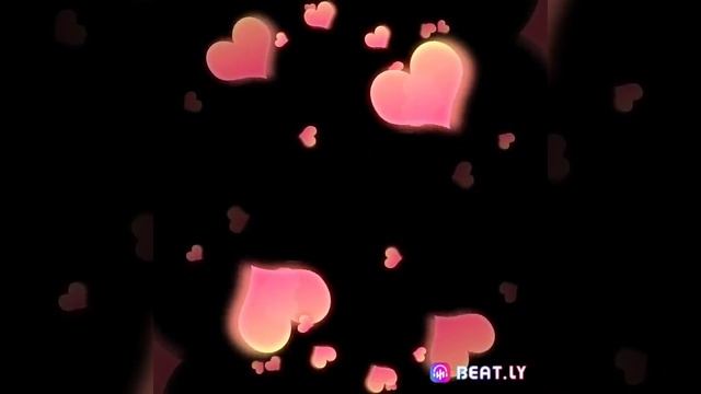 🌺🌺