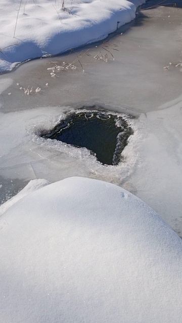 01.03.2025 #сегоднятак #сегодня #природа #nature #oggicosì #бүгін #oggi #hoy #今日 #today #오늘 #자연 #自然