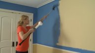Wagner SMART Flow Roller Full Version