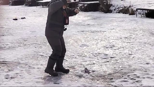 Светлые Горы Форель6 01.03.2025г.