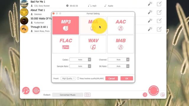 3 Steps to Convert DRM iTunes Music to MP3 on Mac