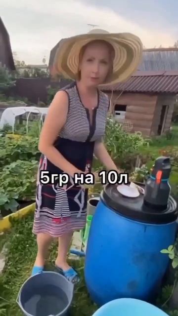 как повысить урожайность томатов