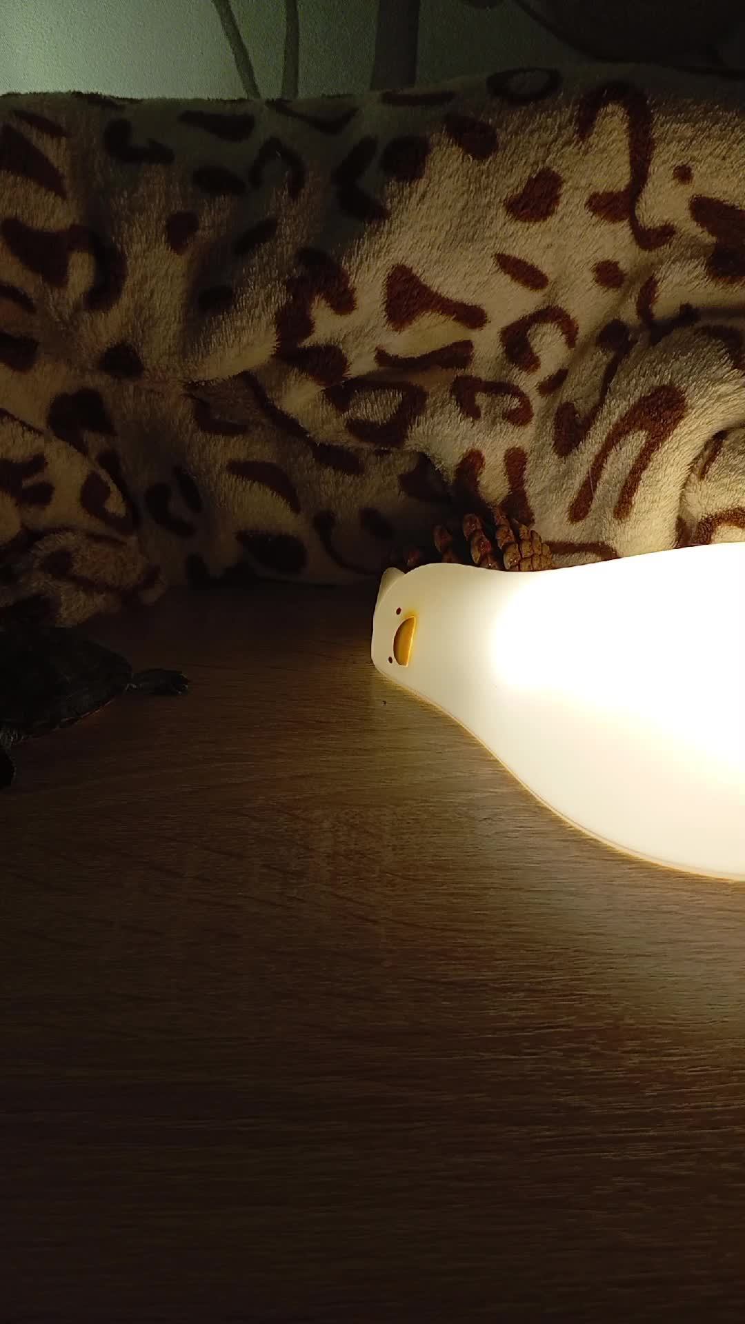 Нюшик♥️