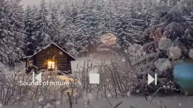 Advaith Hyundai | Hyundai VENUE Sounds of nature