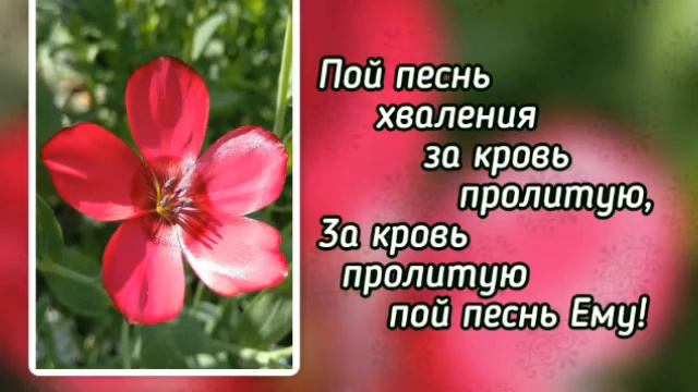 Зачем страдать, мой друг ( )