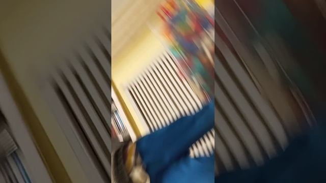 1000004990.mp4