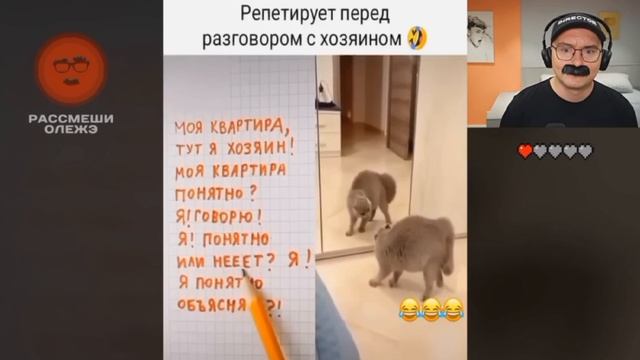 1000005059.mp4