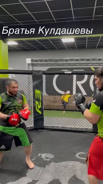 Максим Кулдашев 🦁Умиджон Кулдашев🐯