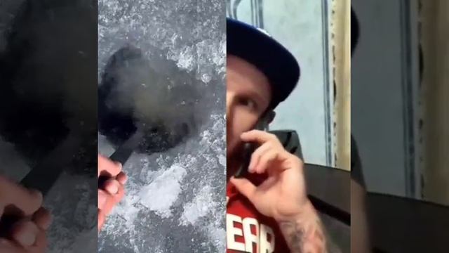 Сборник видео с ТикТок.
