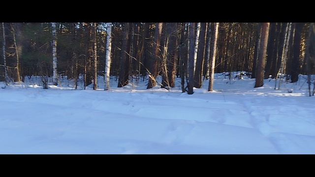 21.02.2025 60е папино ДР - едем в санях по тайге