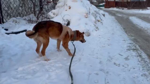 Спасибо за февраль!