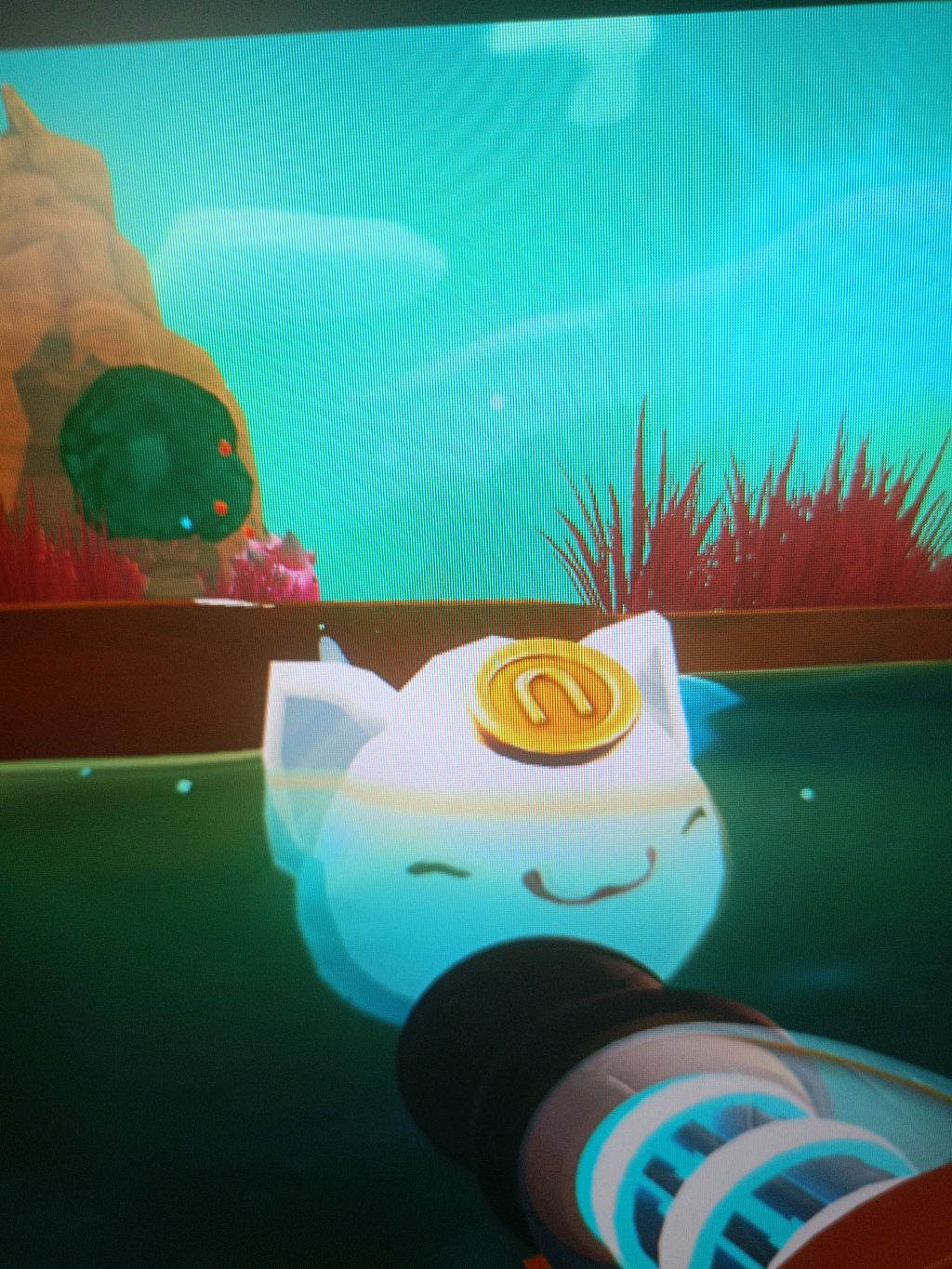 slime rancher 1 с нуля
