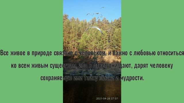 тела человека часть 10 по книгам (exodus) Кузнецовой В.В.