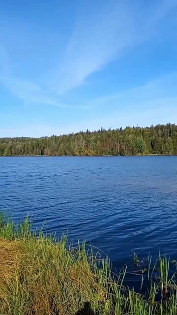 Место для отдыха и жизни