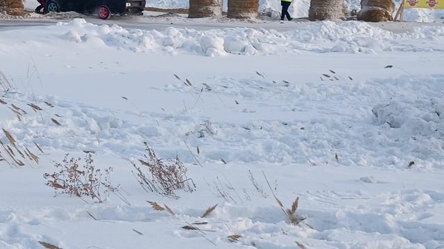 Въехал в тюг сена. Дрифт-шоу г. Калачинск