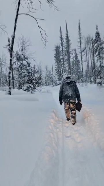 96 Отшельник потерялся в зимней тайге Сухой пит Сибирь