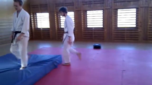 Enpi bunkai #3 kata guruma