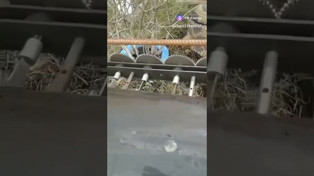 вертел