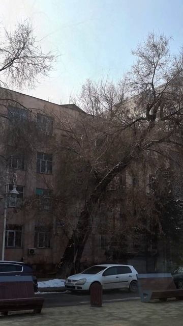 Утро Алматы. 02.03.2025