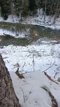 архыз России